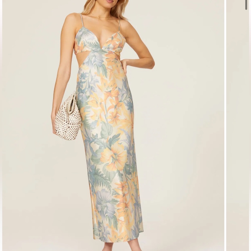 Elegant Backless Dress 
Significant Other Jacy
